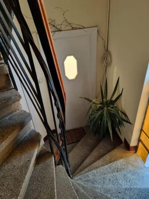 Cozy Apartment Near City Center Bucureşti Eksteriør bilde